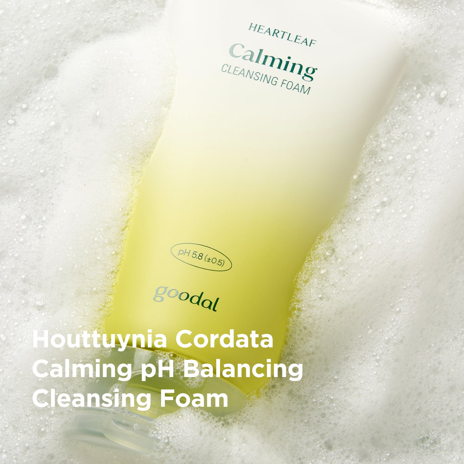 [GOODAL] Houttuynia Cordata Calming PH Balancing Cleansing Foam - CLUB CLIO